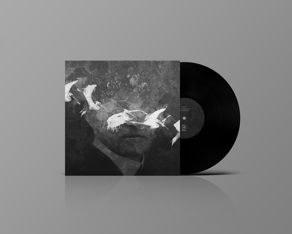 Depth.Request Vinyl Covers – Birds & Dinosaurs